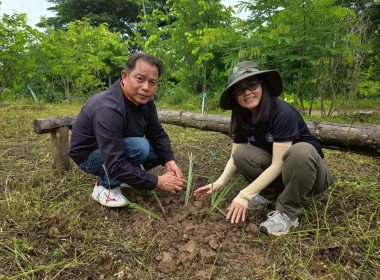 สำนักงานสหกรณ์จังหวัดเชียงราย จัดกิจกรรมปลูกพืชสมุนไพร ... พารามิเตอร์รูปภาพ 26